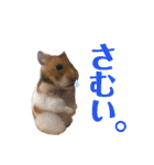 4本足のおともだち ！！（個別スタンプ：22）