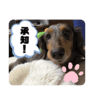 まーたんことまろんです（個別スタンプ：2）