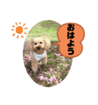 びい君と仲間たち（個別スタンプ：2）