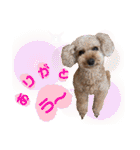 びい君と仲間たち（個別スタンプ：3）
