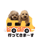 びい君と仲間たち（個別スタンプ：4）