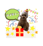 びい君と仲間たち（個別スタンプ：5）