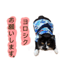 びい君と仲間たち（個別スタンプ：6）