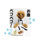 びい君と仲間たち（個別スタンプ：8）