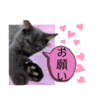 びい君と仲間たち（個別スタンプ：9）