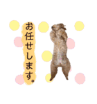 びい君と仲間たち（個別スタンプ：10）