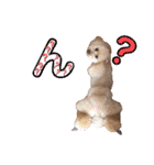 びい君と仲間たち（個別スタンプ：11）