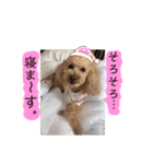 びい君と仲間たち（個別スタンプ：12）