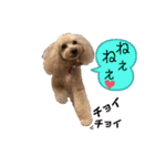 びい君と仲間たち（個別スタンプ：13）