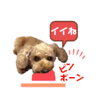 びい君と仲間たち（個別スタンプ：14）