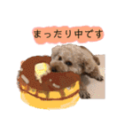 びい君と仲間たち（個別スタンプ：16）