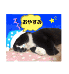 びい君と仲間たち（個別スタンプ：17）