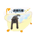 びい君と仲間たち（個別スタンプ：20）