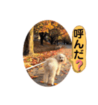 びい君と仲間たち（個別スタンプ：24）