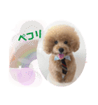 びい君と仲間たち（個別スタンプ：26）