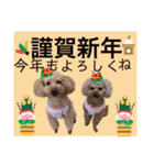 びい君と仲間たち（個別スタンプ：31）