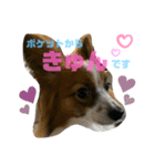 愛しのfamily②（個別スタンプ：5）