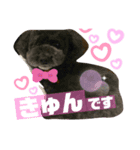 愛しのfamily②（個別スタンプ：7）