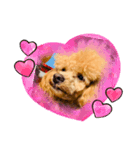 Camel...♥①（個別スタンプ：7）