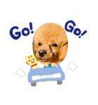 Camel...♥①（個別スタンプ：8）