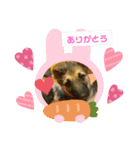 グリーンファミリー ピアバージョン（個別スタンプ：6）