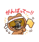 グリーンファミリー ピアバージョン（個別スタンプ：16）