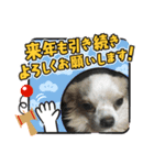 可愛い私の家族達（個別スタンプ：2）