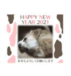 可愛い私の家族達（個別スタンプ：3）
