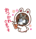 可愛い私の家族達（個別スタンプ：4）