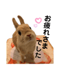 うさぎのおにぎりスタンプ3（個別スタンプ：30）