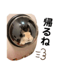 うさぎのおにぎりスタンプ3（個別スタンプ：38）