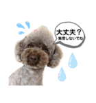 ウチのトロ（個別スタンプ：9）