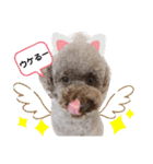 ウチのトロ（個別スタンプ：11）