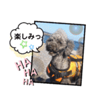 ウチのトロ（個別スタンプ：18）