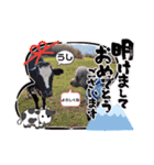 ウチのトロ（個別スタンプ：23）