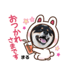 黒柴まる君のスタンプ（個別スタンプ：6）