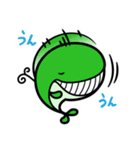 マメクジラ（個別スタンプ：5）