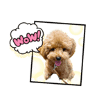 マカナ(243)（個別スタンプ：2）