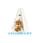 マカナ(243)（個別スタンプ：5）