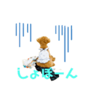 マカナ(243)（個別スタンプ：7）