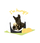 プー助(245)（個別スタンプ：4）