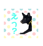 プー助(245)（個別スタンプ：7）