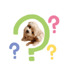 ぽっけ(244)（個別スタンプ：6）