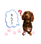 randy moka1（個別スタンプ：3）