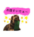 randy moka1（個別スタンプ：4）