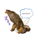 randy moka1（個別スタンプ：6）