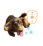 randy moka1（個別スタンプ：7）