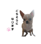 もっといーとつー。（個別スタンプ：9）