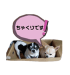 もっといーとつー。（個別スタンプ：11）
