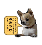 もっといーとつー。（個別スタンプ：15）